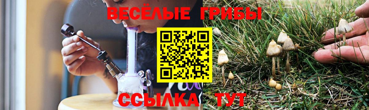 Псилоцибиновые грибы ЛСД  Вход с VPN  Домодедово  Псилоцибиновые грибы Psilocybe 